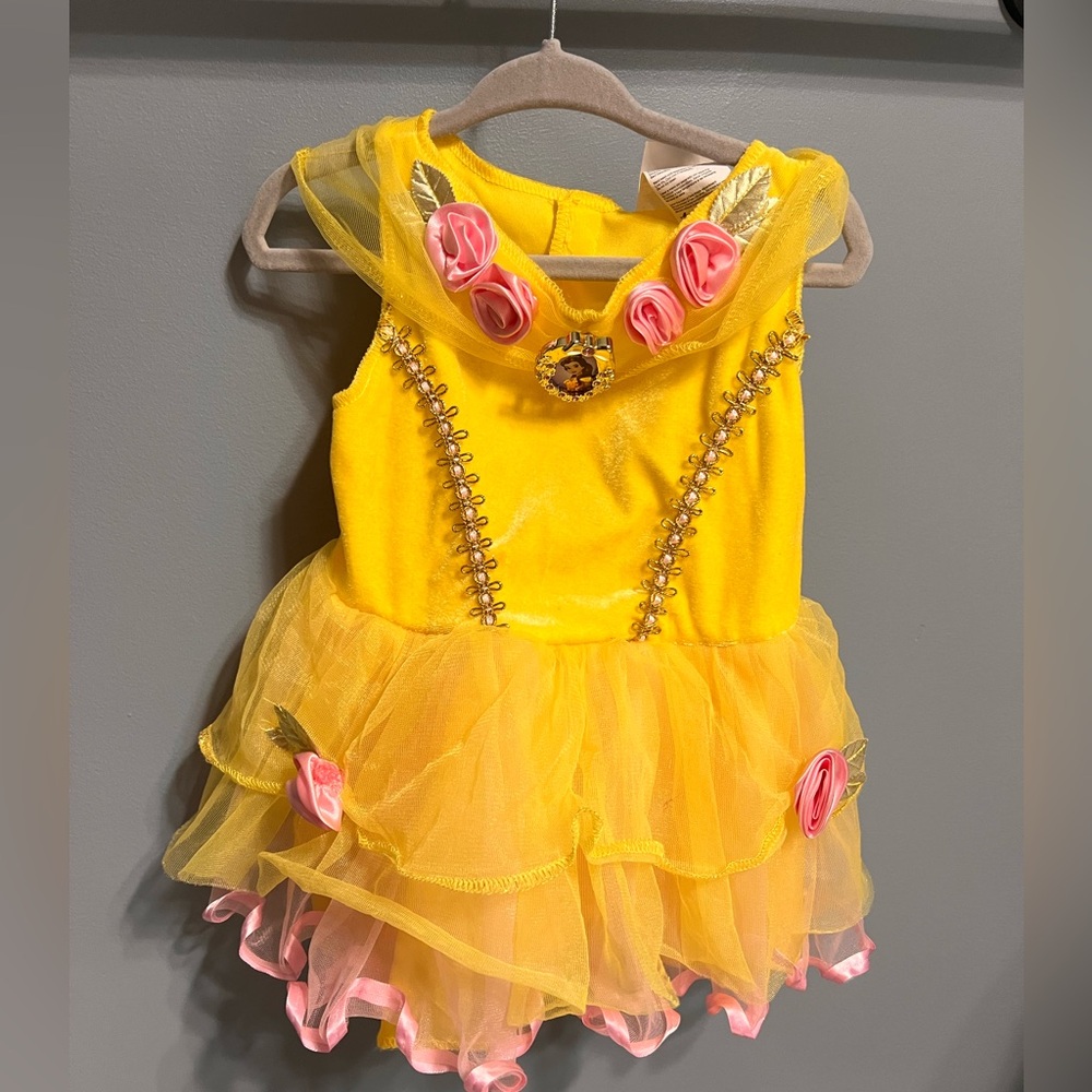 Disney Baby Belle Costume